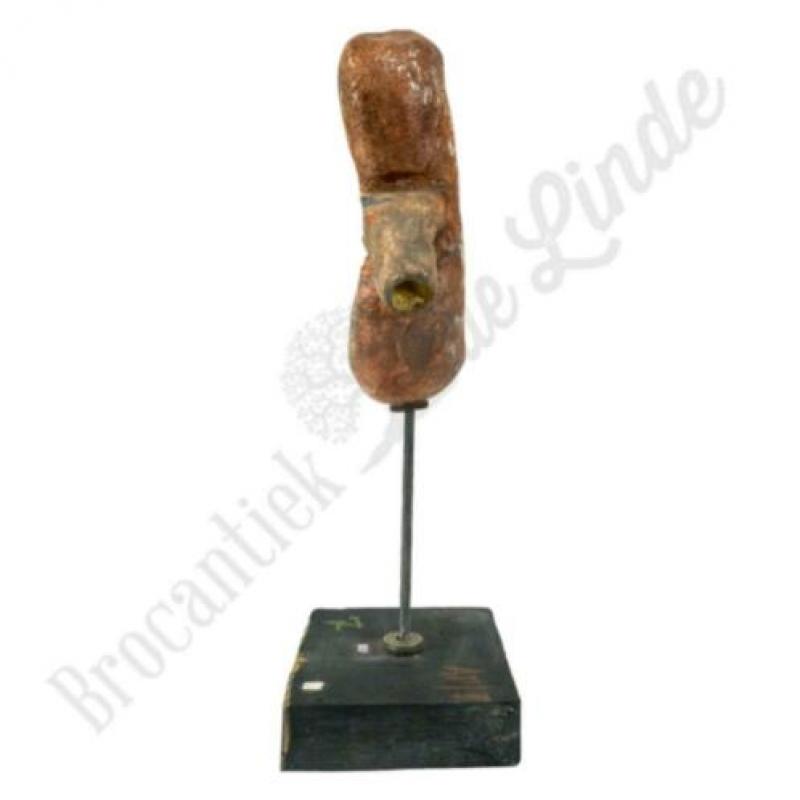 Unieke oude vintage Anatomisch model nier No.2