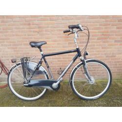 Mooie Koga Miyata