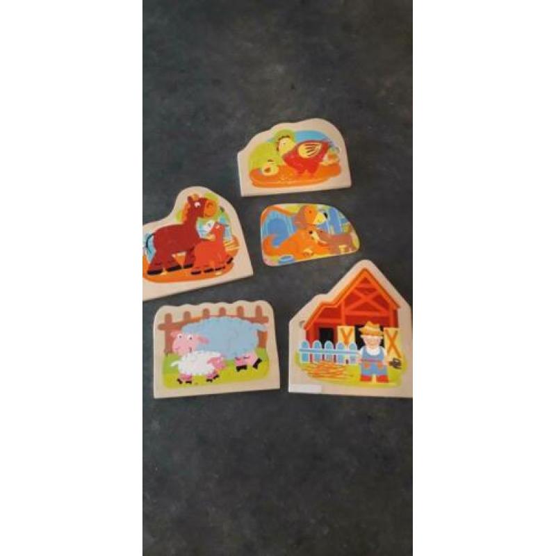 Houten puzzels en 1 visspel met magneet