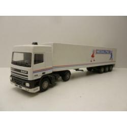 DAF 95 ''Nedalpac Grubbenvorst '' lion car
