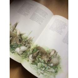 Boek Een kleine wereld illustraties MARJOLEIN BASTIN aquarel
