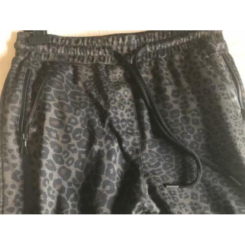 ZHRILL pantalon nieuwe collectie maat M print