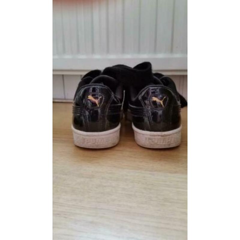 Puma's maat 39