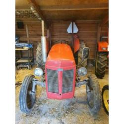 Massey ferguson tef