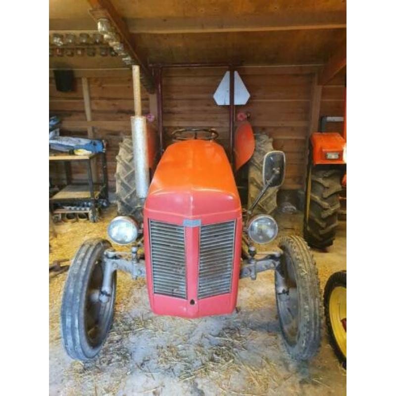 Massey ferguson tef