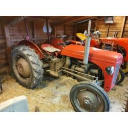 Massey ferguson tef