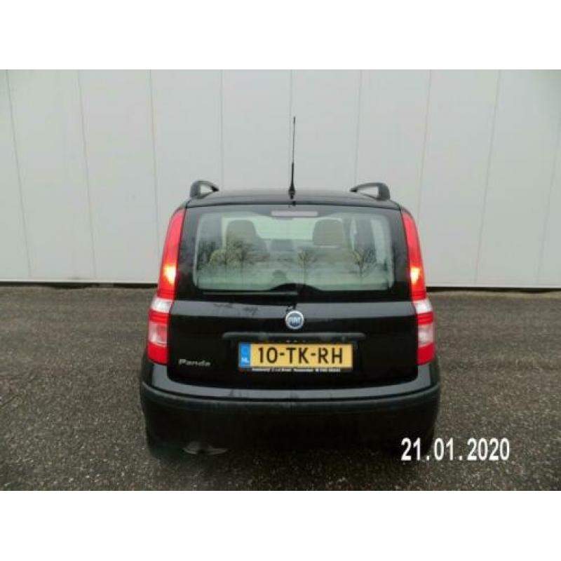 Fiat Panda 1.2 Edizione Cool
