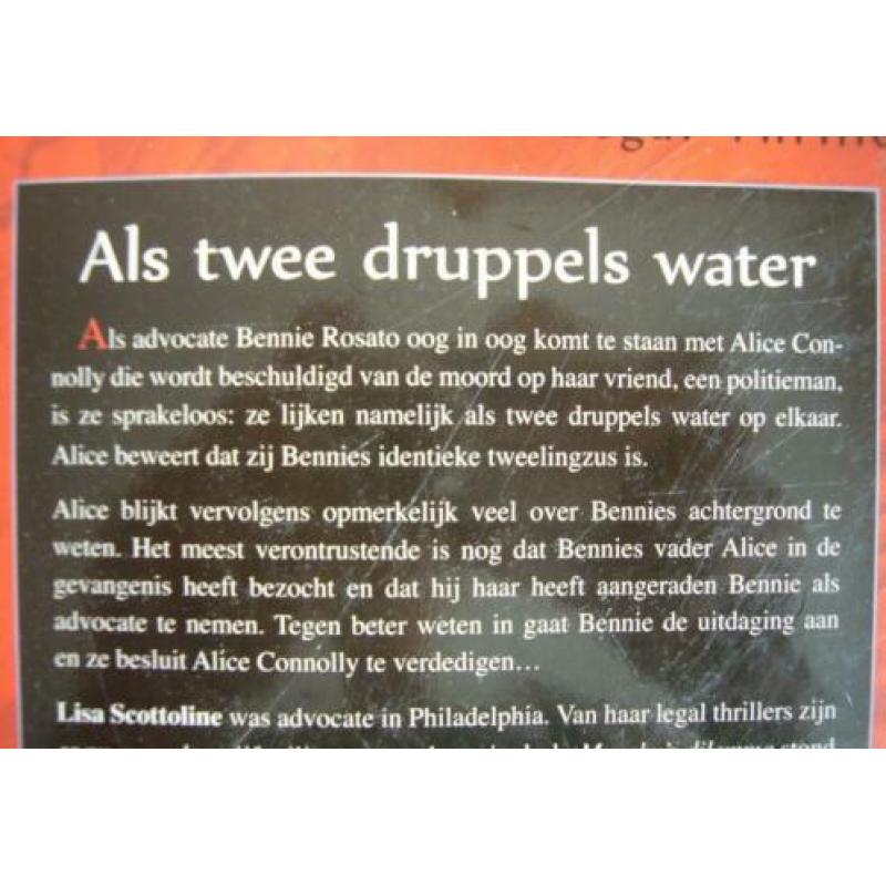 Als twee druppels water Lisa Scottoline