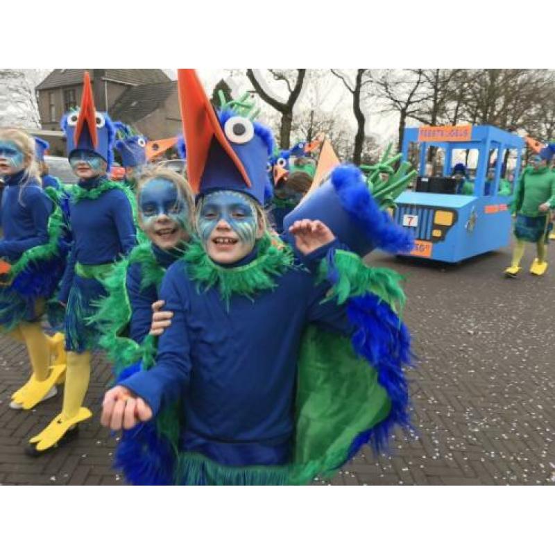 Feestvogels