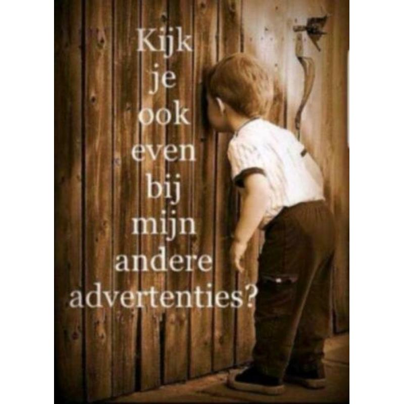Walt Disney Klokkenluider v/d Notre Dame box in goede staat