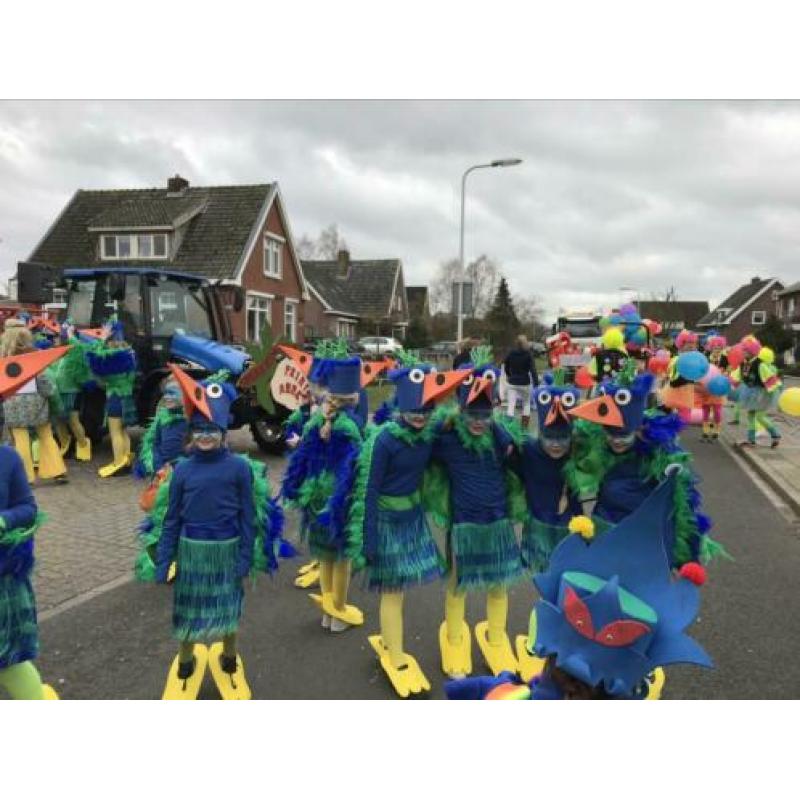 Feestvogels