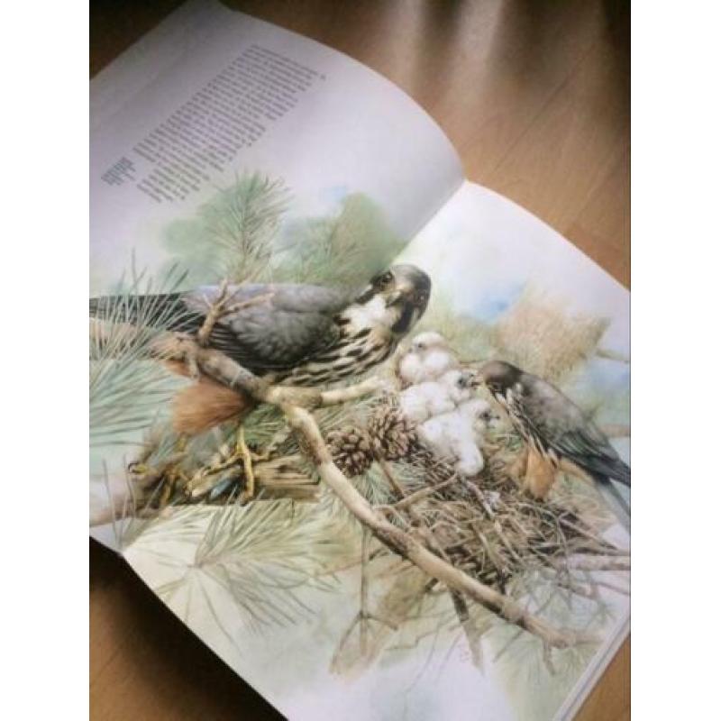 Boek Een kleine wereld illustraties MARJOLEIN BASTIN aquarel