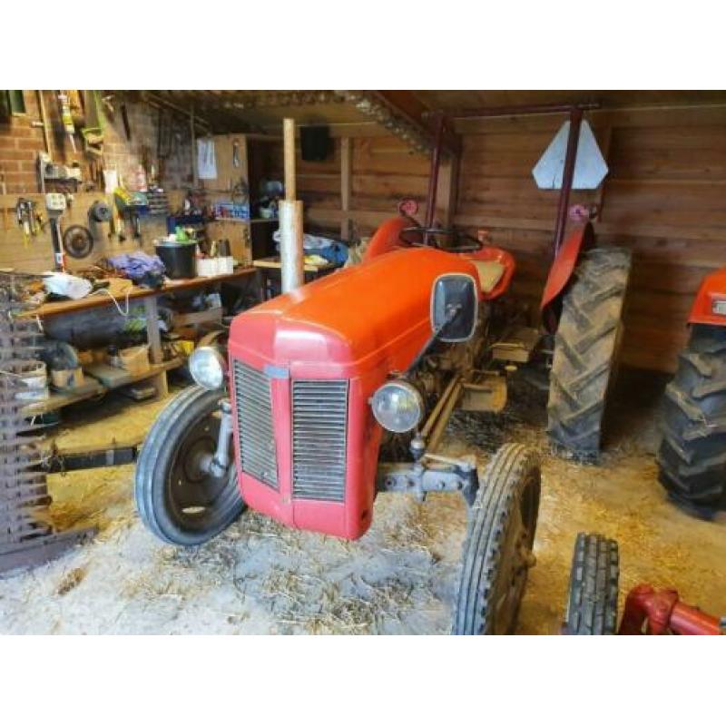 Massey ferguson tef