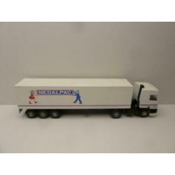 DAF 95 ''Nedalpac Grubbenvorst '' lion car