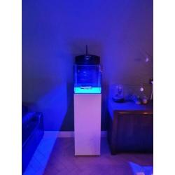 Aqua medic blenny stand