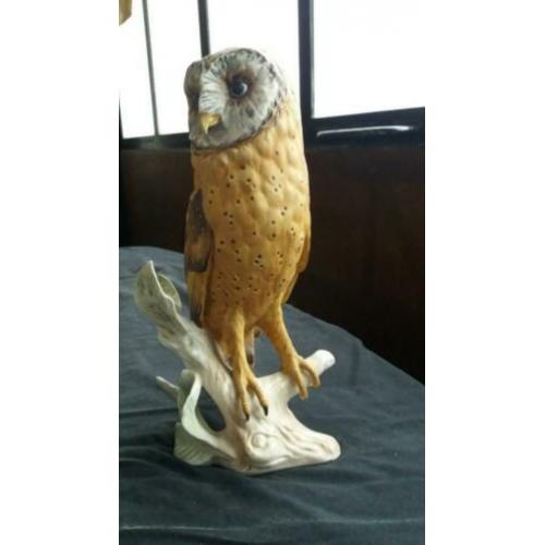 Goebel uil