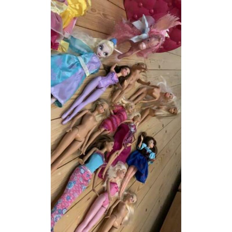 Barbie, Ken en Frozen poppetjes met kleding kast en spullen