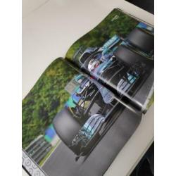 World championship yearbook 2018 formula 1