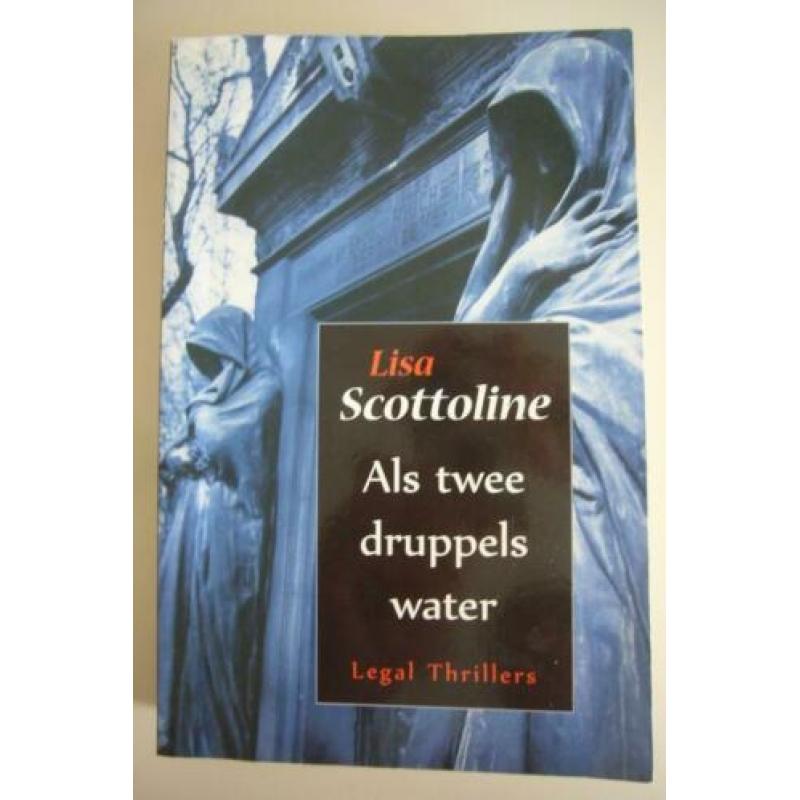 Als twee druppels water Lisa Scottoline
