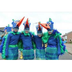 Feestvogels