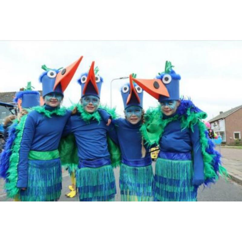 Feestvogels