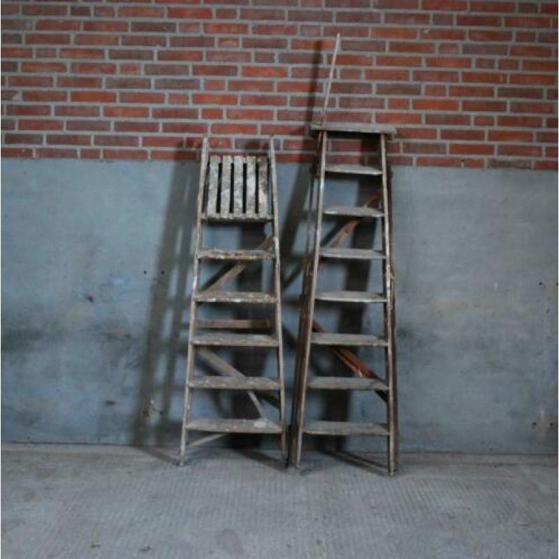 Brocante ladder