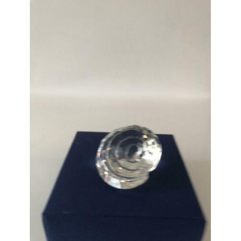 Swarovski tolhoornschelp