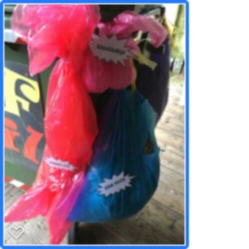 Duo carnaval, Lachen gegarandeerd in de optocht!
