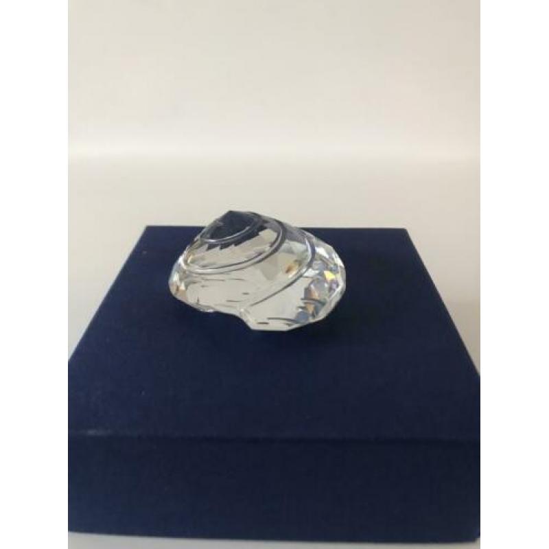 Swarovski tolhoornschelp