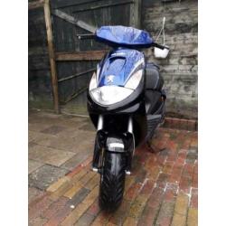 Peugeot vivacity snor