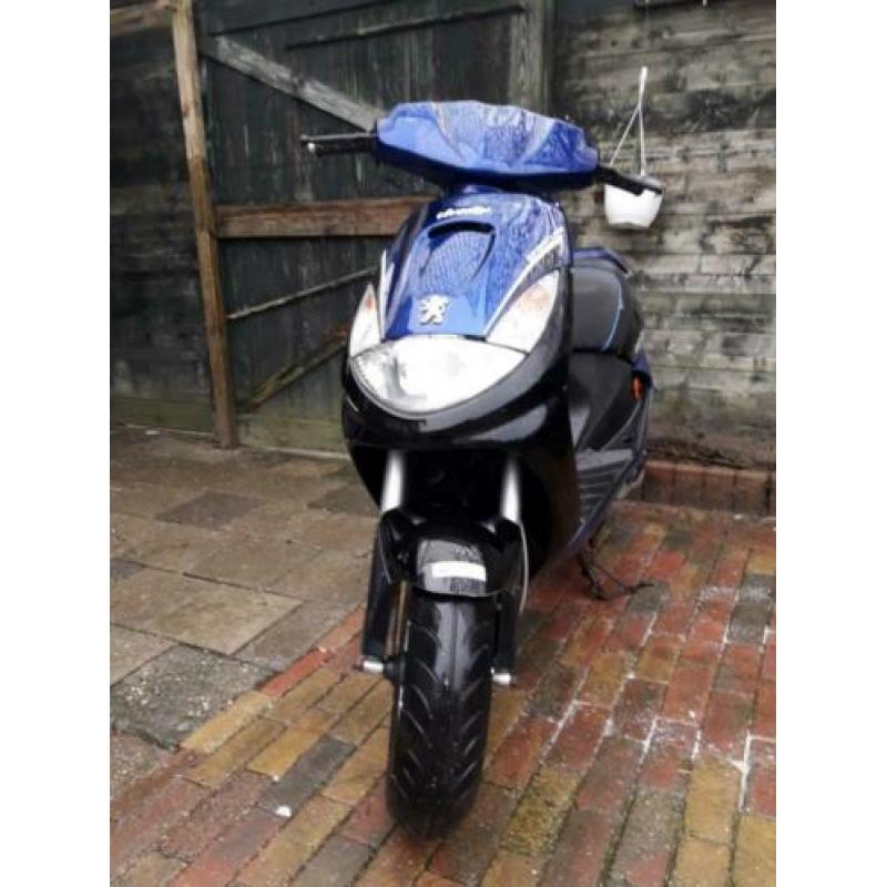 Peugeot vivacity snor