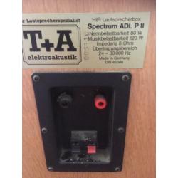T+A Spectrum ADL p II