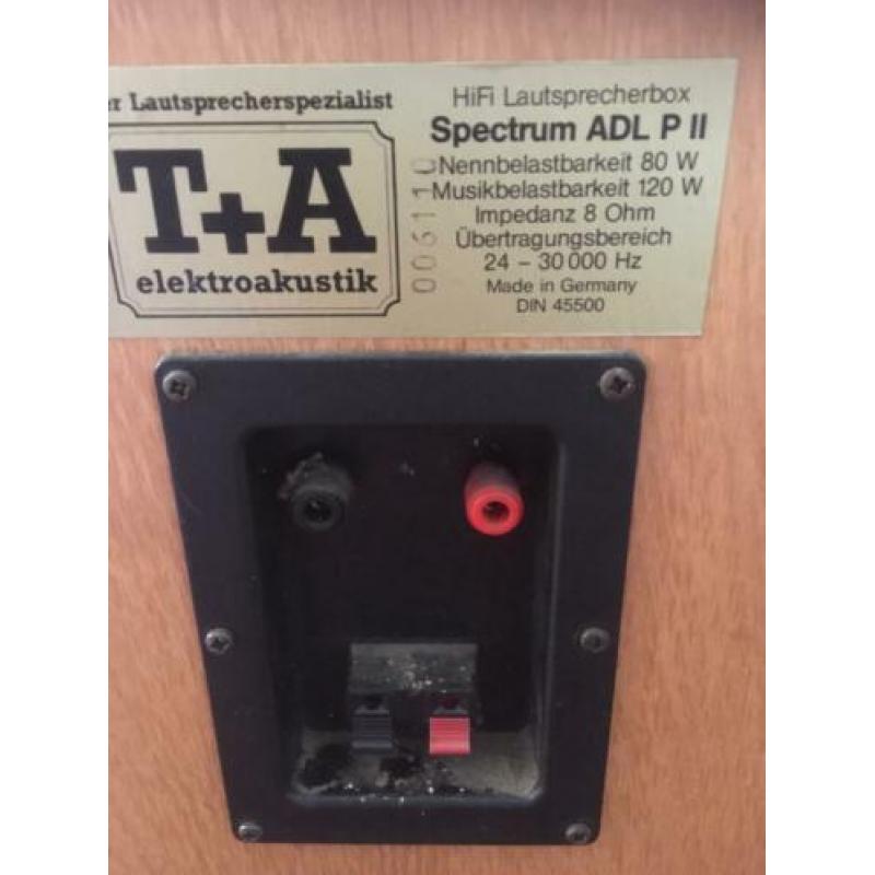 T+A Spectrum ADL p II