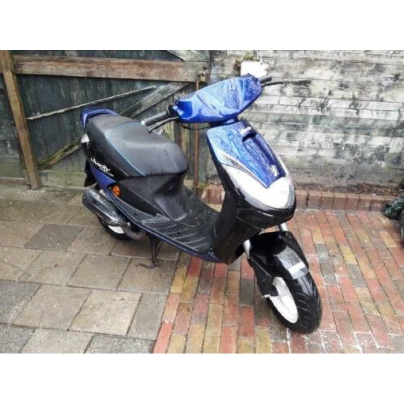 Peugeot vivacity snor