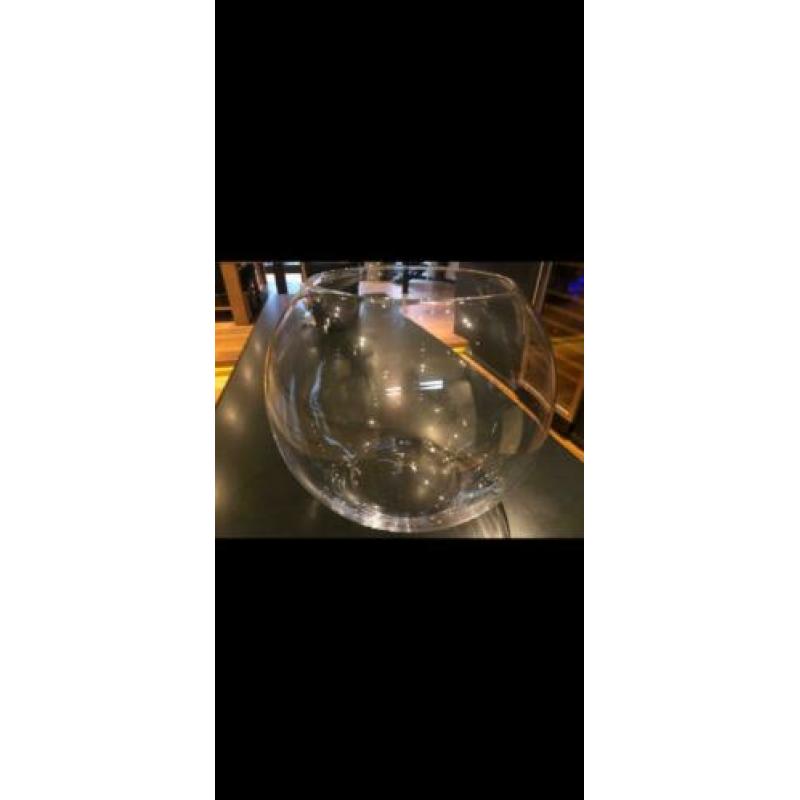 Grote viskom glas
