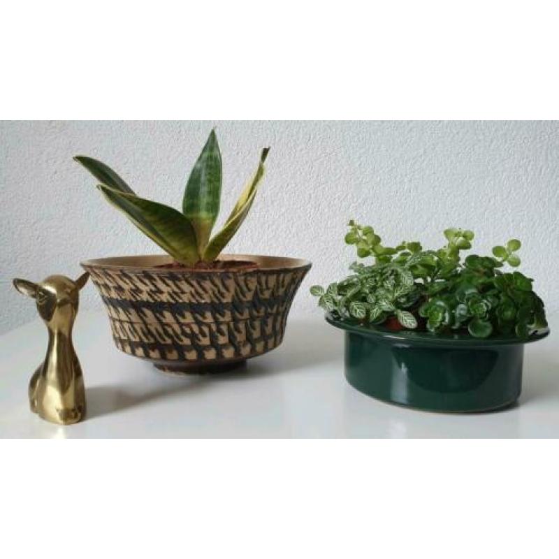 Vintage retro bloempotje(s) bloempot(ten) jaren 60 groen
