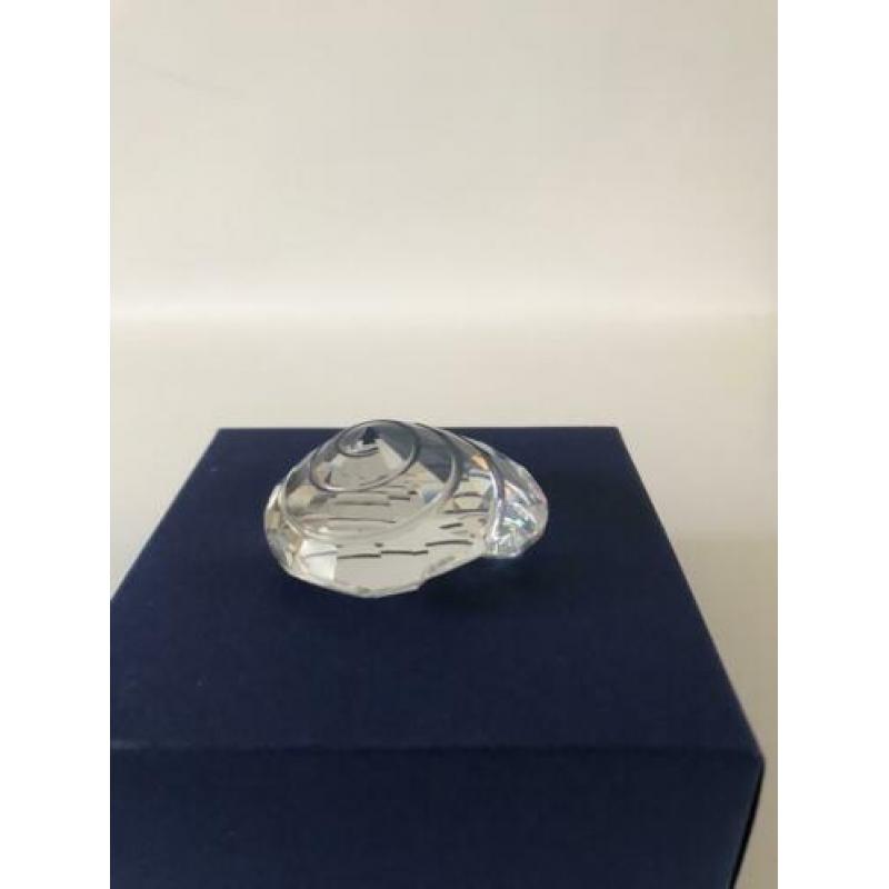 Swarovski tolhoornschelp