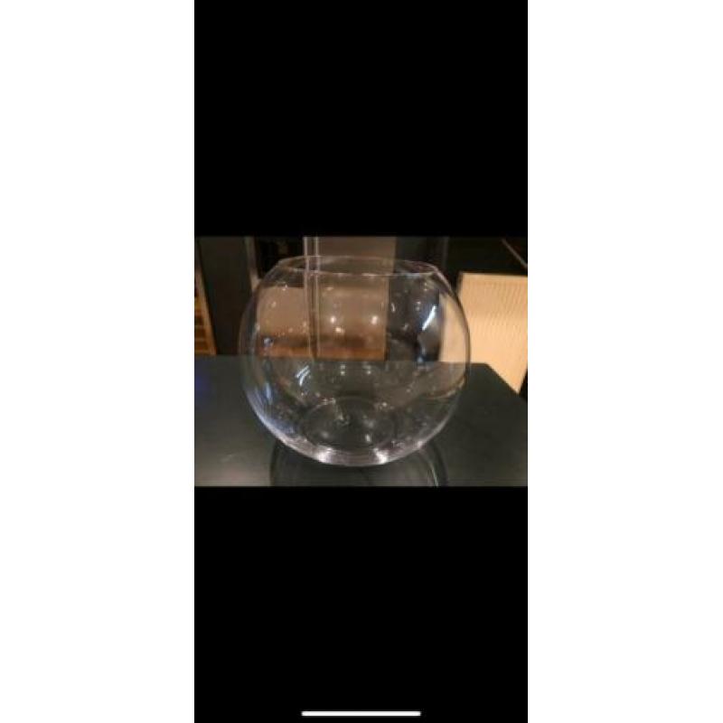 Grote viskom glas