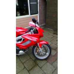 Honda VTR1000 firestorm