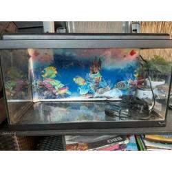 Aquarium