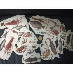 Aantal Vis hobby plaatjes