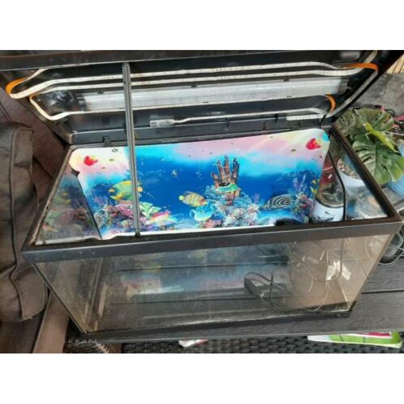 Aquarium