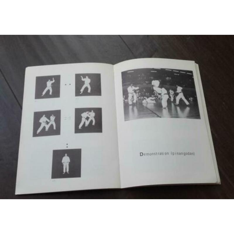zelfverdediging Japanse Karate do instructies Ishikawa Naoki