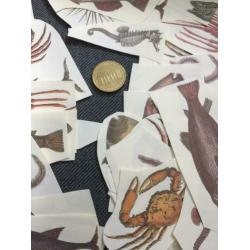 Aantal Vis hobby plaatjes