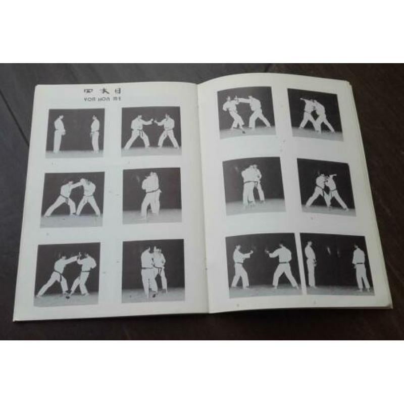 zelfverdediging Japanse Karate do instructies Ishikawa Naoki