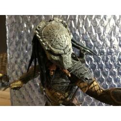 Predator 16