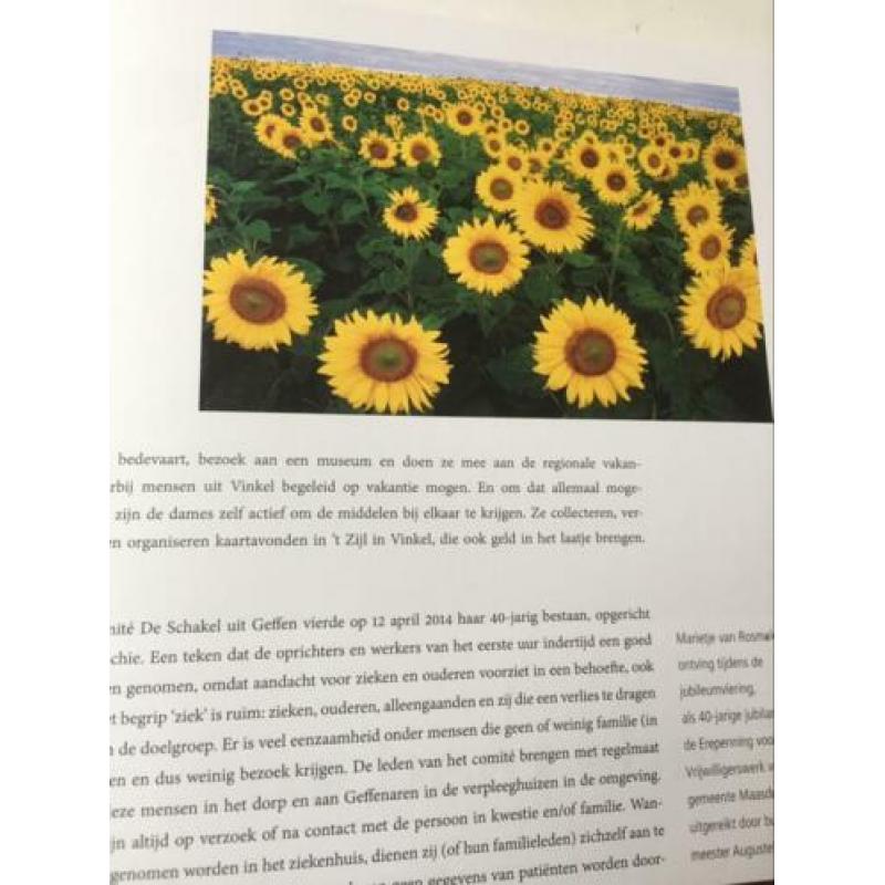 Drie-eenheid in verscheidenheid, herinneringen aan Maasdonk