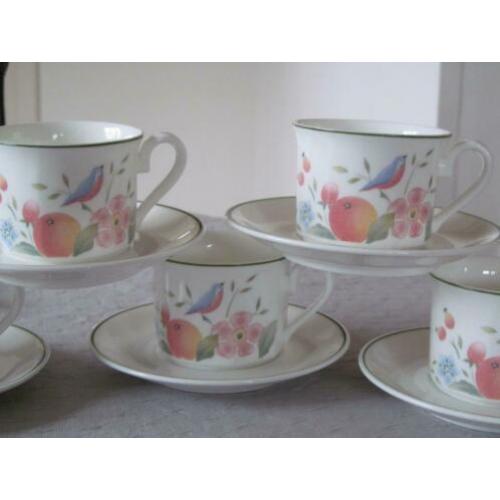 5 Villeroy & Boch Gallo Orangerie Design Kop en Schotels