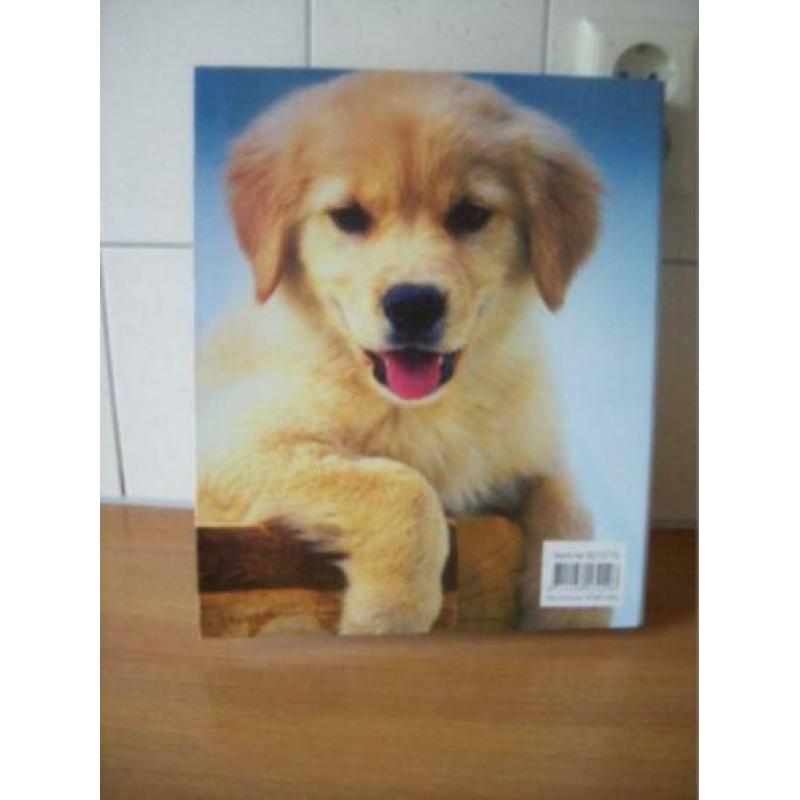 Labrador /Retriever Map 2 rings NIEUW