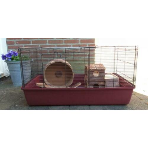 Hamster/cavia kooi. 84 cm bij 49 cm. Met houten speeltjes.